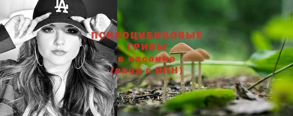 прущие крисы Дмитров