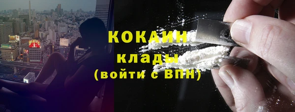 МДПВ Дмитриев