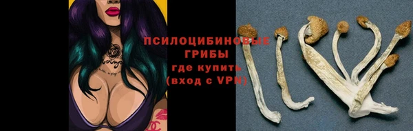 МДПВ Дмитриев