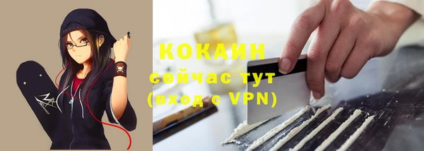 МДПВ Дмитриев