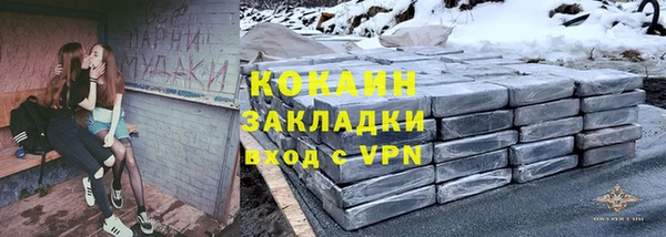 МДПВ Дмитриев