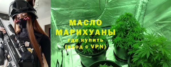МДПВ Дмитриев