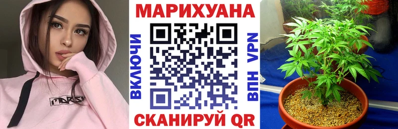 Купить где  Гвардейск  Канабис OG Kush 